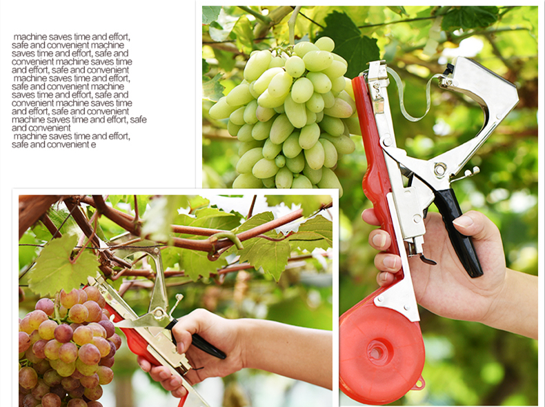 綁枝機對農業(yè)現(xiàn)代化具有重要的意義