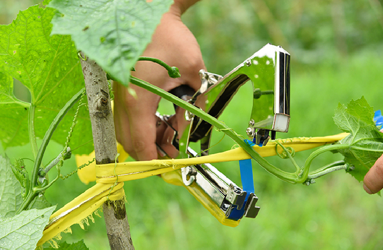 綁枝機應多加注意哪些方面的問題